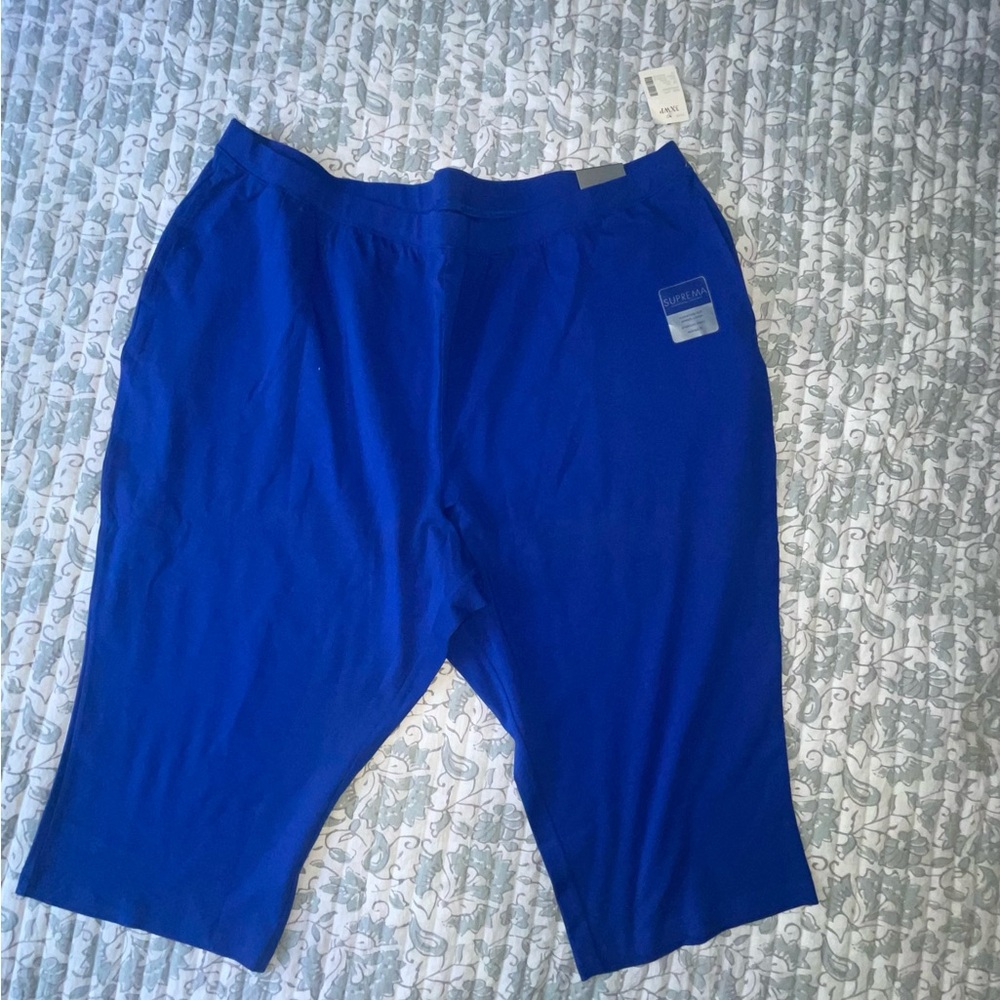 Catherines Blue Capri Pants with Relaxed Fit